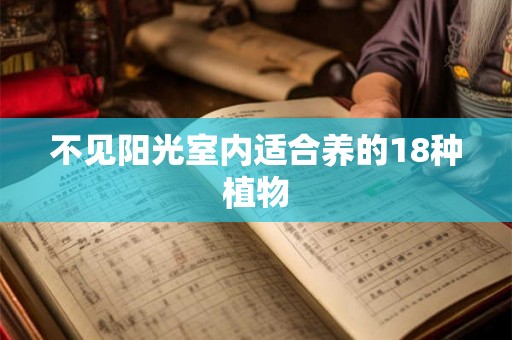 不见阳光室内适合养的18种植物