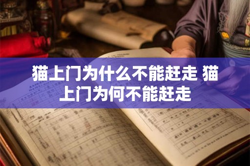 猫上门为什么不能赶走 猫上门为何不能赶走 猫上门为什么不能赶走 猫上门为何不能赶走