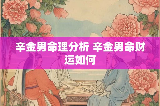 辛金男命理分析 辛金男命财运如何 辛金男命理分析 辛金男命财运如何