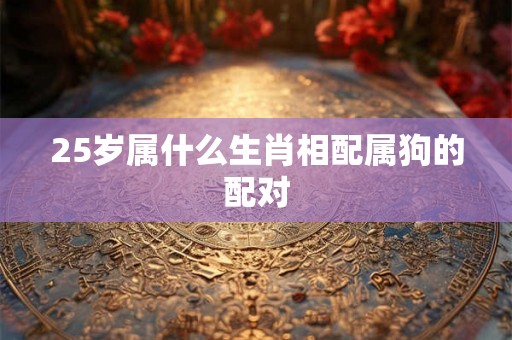 25岁属什么生肖相配属狗的配对