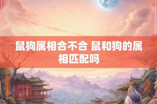 鼠狗属相合不合 鼠和狗的属相匹配吗