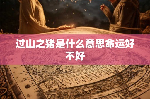 过山之猪是什么意思命运好不好 过山之猪是什么意思命运好不好