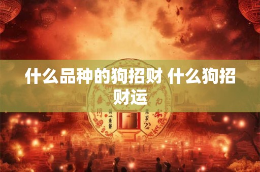 什么品种的狗招财 什么狗招财运 什么品种的狗招财 什么狗招财运