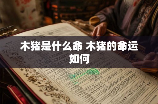 木猪是什么命 木猪的命运如何 木猪是什么命 木猪的命运如何