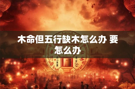 木命但五行缺木怎么办 要怎么办 木命但五行缺木怎么办 要怎么办