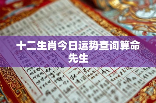 十二生肖今日运势查询算命先生 十二生肖今日运势查询算命先生
