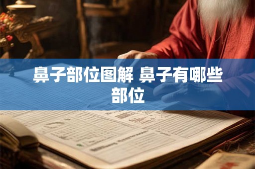 鼻子部位图解 鼻子有哪些部位