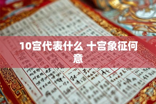 10宫代表什么 十宫象征何意