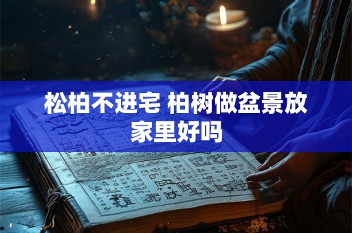松柏不进宅 柏树做盆景放家里好吗 松柏不进宅 柏树做盆景放家里好吗