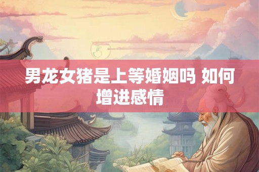男龙女猪是上等婚姻吗 如何增进感情 男龙女猪是上等婚姻吗 如何增进感情