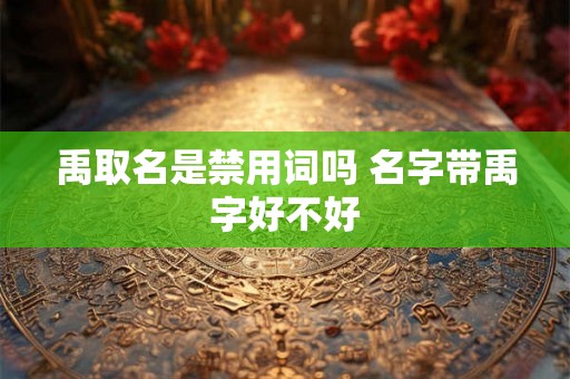 禹取名是禁用词吗 名字带禹字好不好 禹取名是禁用词吗 名字带禹字好不好