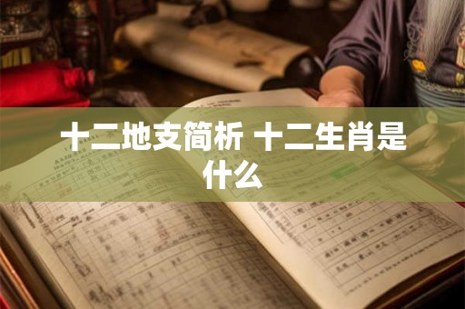 十二地支简析 十二生肖是什么 十二地支简析 十二生肖是什么