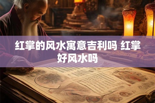 红掌的风水寓意吉利吗 红掌好风水吗