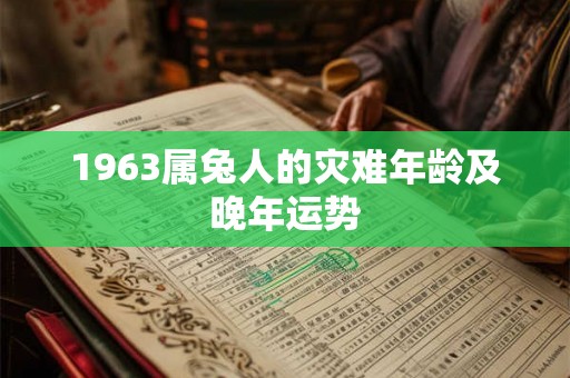 1963属兔人的灾难年龄及晚年运势