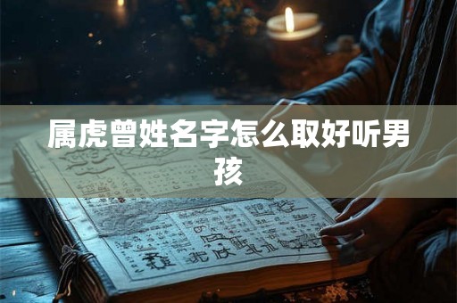 属虎曾姓名字怎么取好听男孩