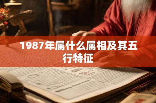 1987年属什么属相及其五行特征 1987年属什么属相及其五行特征