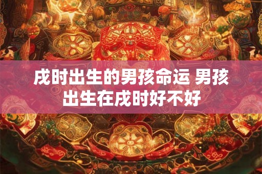 戌时出生的男孩命运 男孩出生在戌时好不好 戌时出生的男孩命运 男孩出生在戌时好不好