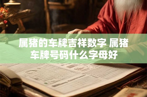属猪的车牌吉祥数字 属猪车牌号码什么字母好