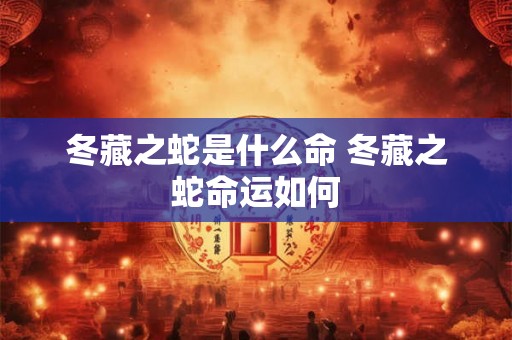 冬藏之蛇是什么命 冬藏之蛇命运如何 冬藏之蛇是什么命 冬藏之蛇命运如何