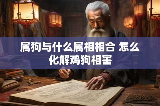 属狗与什么属相相合 怎么化解鸡狗相害
