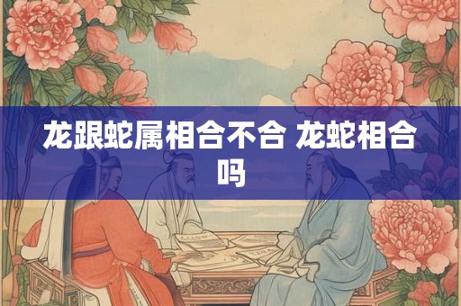 龙跟蛇属相合不合 龙蛇相合吗 龙跟蛇属相合不合 龙蛇相合吗