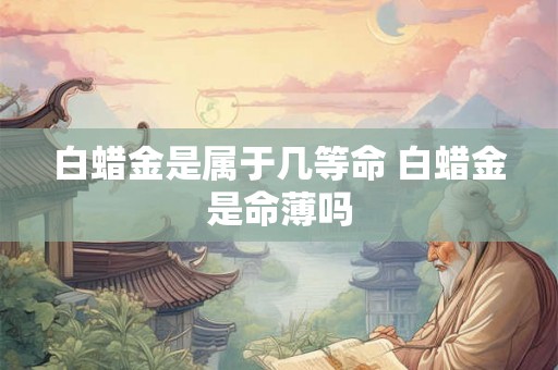 白蜡金是属于几等命 白蜡金是命薄吗 白蜡金是属于几等命 白蜡金是命薄吗