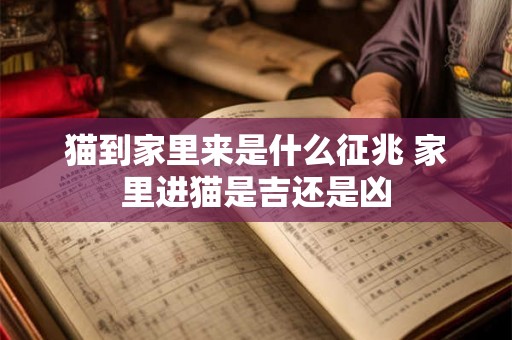猫到家里来是什么征兆 家里进猫是吉还是凶 猫到家里来是什么征兆 家里进猫是吉还是凶
