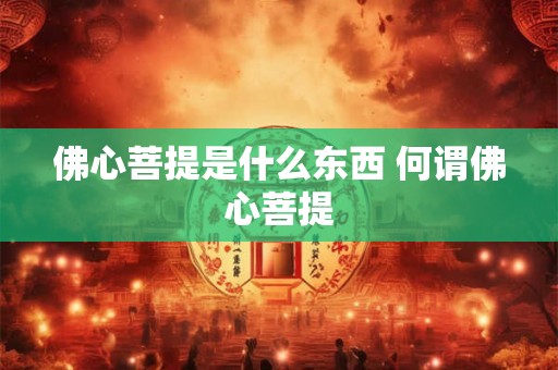 佛心菩提是什么东西 何谓佛心菩提