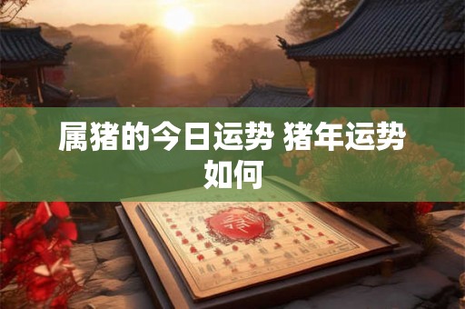 属猪的今日运势 猪年运势如何 属猪的今日运势 猪年运势如何