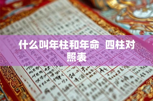 什么叫年柱和年命 四柱对照表 什么叫年柱和年命 四柱对照表