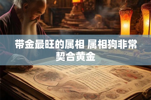 带金最旺的属相 属相狗非常契合黄金 带金最旺的属相 属相狗非常契合黄金