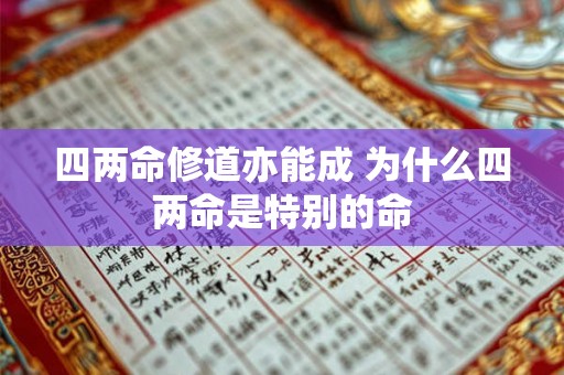 四两命修道亦能成 为什么四两命是特别的命 四两命修道亦能成 为什么四两命是特别的命