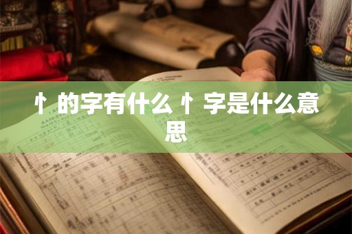 忄的字有什么 忄字是什么意思