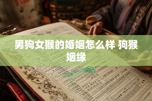 男狗女猴的婚姻怎么样 狗猴姻缘 男狗女猴的婚姻怎么样 狗猴姻缘
