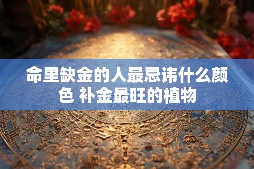 命里缺金的人最忌讳什么颜色 补金最旺的植物 命里缺金的人最忌讳什么颜色 补金最旺的植物