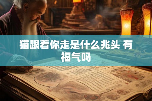猫跟着你走是什么兆头 有福气吗 猫跟着你走是什么兆头 有福气吗