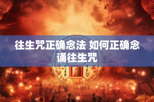 往生咒正确念法 如何正确念诵往生咒 往生咒正确念法 如何正确念诵往生咒