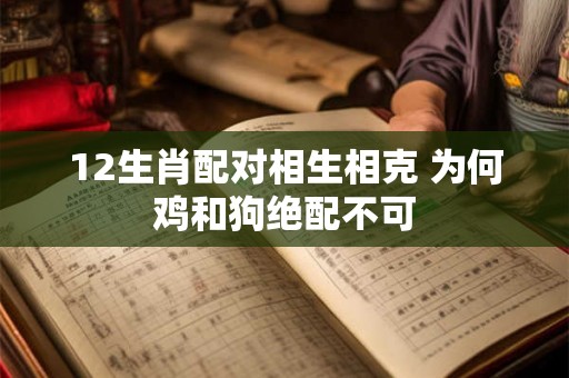 12生肖配对相生相克 为何鸡和狗绝配不可 12生肖配对相生相克 为何鸡和狗绝配不可