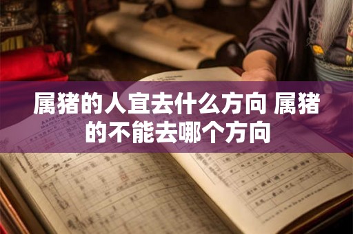 属猪的人宜去什么方向 属猪的不能去哪个方向 属猪的人宜去什么方向 属猪的不能去哪个方向