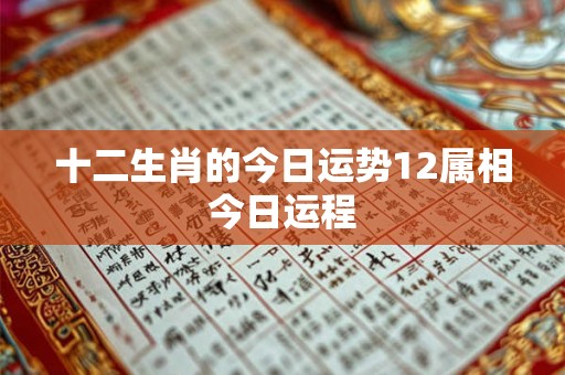 十二生肖的今日运势12属相今日运程 十二生肖的今日运势12属相今日运程