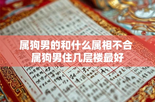 属狗男的和什么属相不合 属狗男住几层楼最好