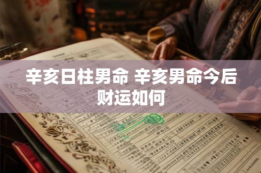 辛亥日柱男命 辛亥男命今后财运如何 辛亥日柱男命 辛亥男命今后财运如何