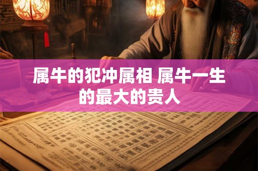 属牛的犯冲属相 属牛一生的最大的贵人