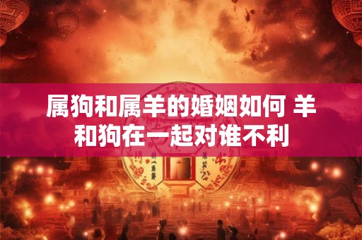 属狗和属羊的婚姻如何 羊和狗在一起对谁不利