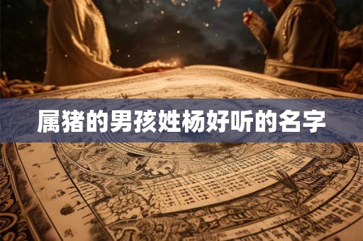属猪的男孩姓杨好听的名字 属猪的男孩姓杨好听的名字