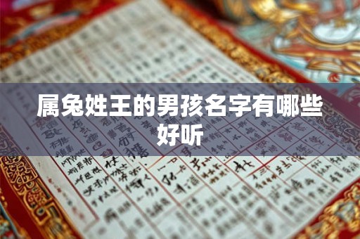 属兔姓王的男孩名字有哪些好听