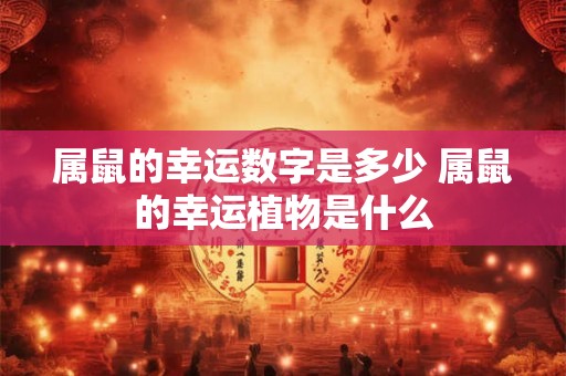 属鼠的幸运数字是多少 属鼠的幸运植物是什么 属鼠的幸运数字是多少 属鼠的幸运植物是什么