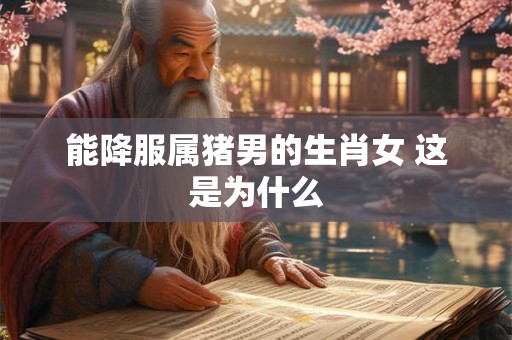 能降服属猪男的生肖女 这是为什么