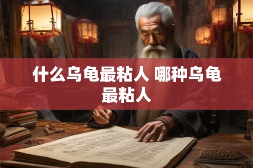 什么乌龟最粘人 哪种乌龟最粘人 什么乌龟最粘人 哪种乌龟最粘人