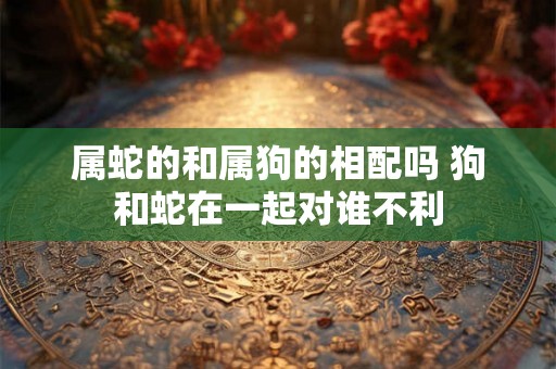 属蛇的和属狗的相配吗 狗和蛇在一起对谁不利 属蛇的和属狗的相配吗 狗和蛇在一起对谁不利